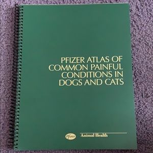 Common painful conditions of dogs and cats